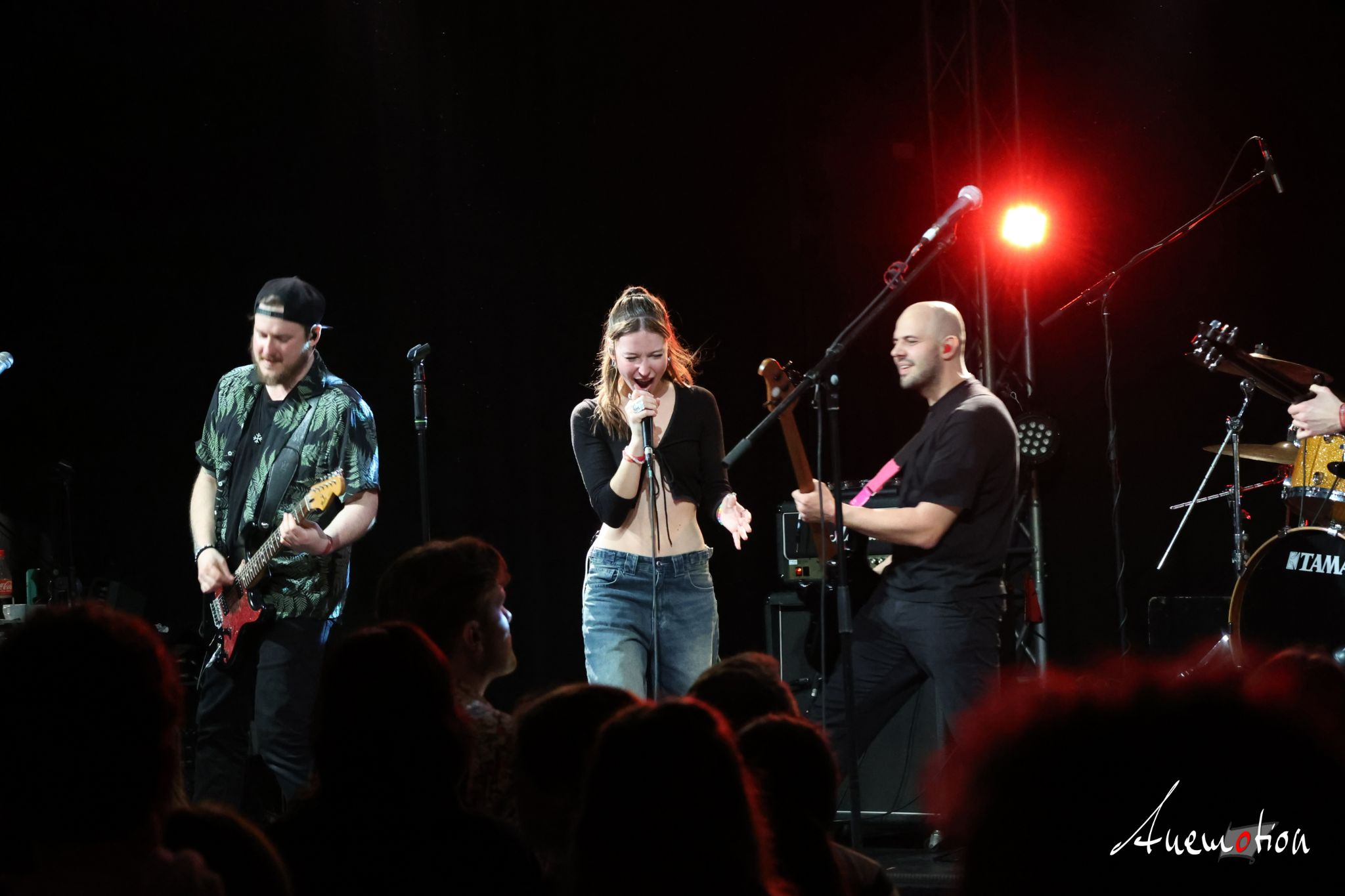 ElephantsFalling (83)